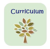 curriculum button