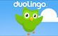 Button Duolingo Small.png
