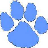 Paw.png