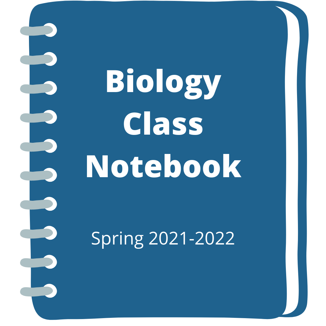 Class Notebook-1.png