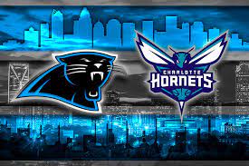 hornets_panthers-2.jpg